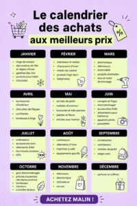 Vue d'ensemble d'un calendrier d'achat pour 2023 avec des dates marquées pour des promotions