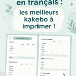 Modèle de kakebo imprimable avec des sections pour gérer son budget