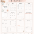 Planificateur imprimable gratuit 2026 avec 47 belles pages disponibles.