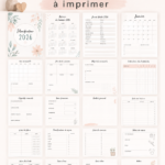 Planificateur imprimable gratuit 2026 avec 47 belles pages disponibles.