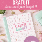 Image d'un binder de budget élégant avec des enveloppes colorées pour la gestion des finances personnelles.