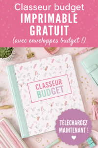 Image d'un binder de budget élégant avec des enveloppes colorées pour la gestion des finances personnelles.